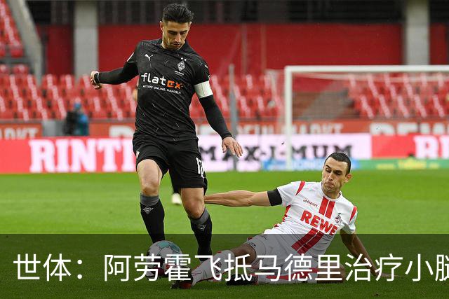世体：阿劳霍飞抵马德里治疗小腿伤势，乌拉圭目标让其出战西班牙