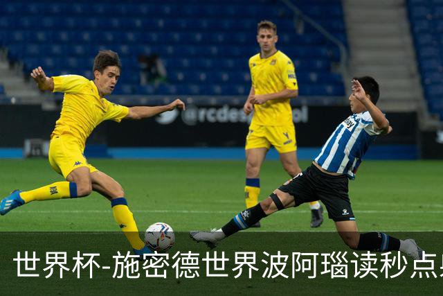 世界杯-施密德世界波阿瑙读秒点射破门 奥地利3-1约旦