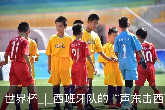 世界杯 | 西班牙队的“声东击西”
