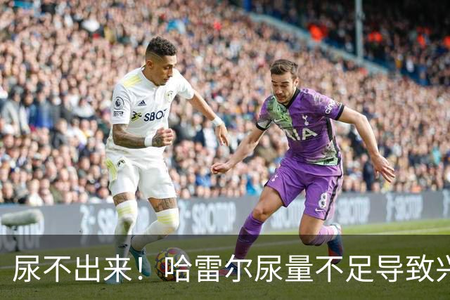尿不出来！哈雷尔尿量不足导致兴奋剂检测未完成 被禁赛至明年1月
