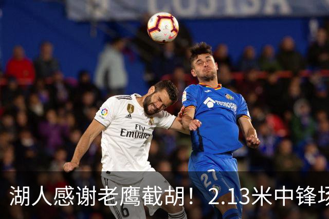 湖人感谢老鹰截胡！2.13米中锋场均8+4远低预期 萨总930万亏哭了