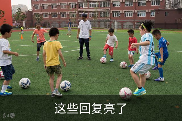 这些回复亮了