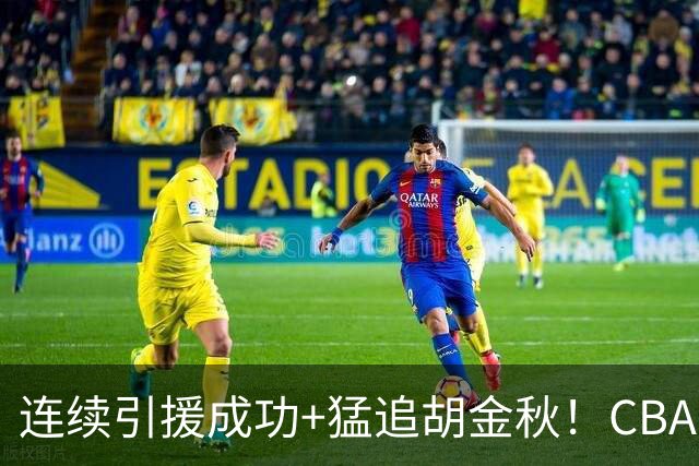连续引援成功+猛追胡金秋！CBA黑马队新赛季能否冲冠？